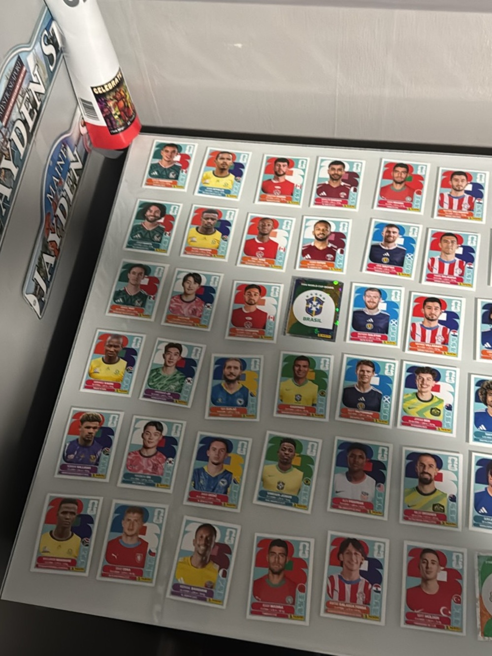 91 Panini 2026 World Cup Stickers